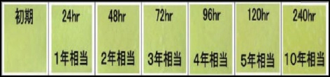 蓄光 反射 SUV促進耐候性試験