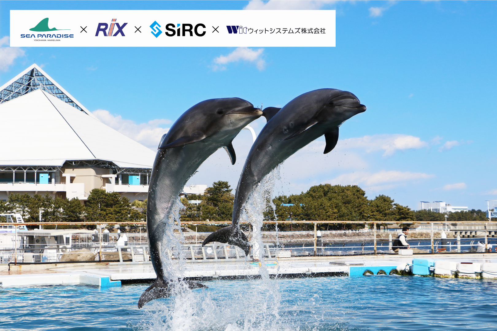 【水族館×DX】IoTソリューションで点検作業を削減